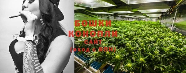 mdma Бородино