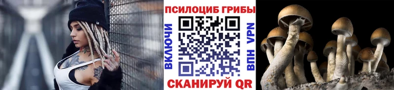 Псилоцибиновые грибы мицелий  магазин  наркотиков  Новохопёрск 